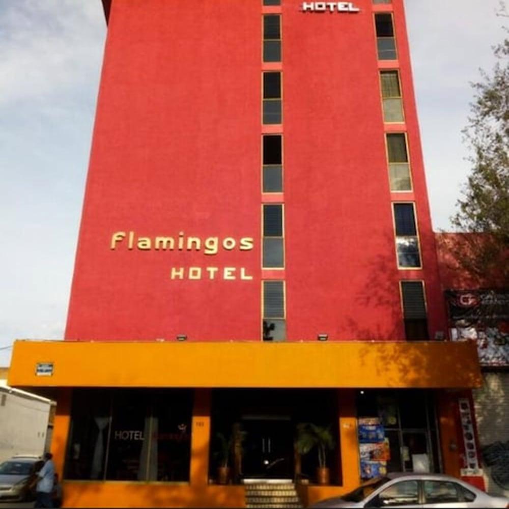 Hotel Flamingos Guadalajara Dış mekan fotoğraf