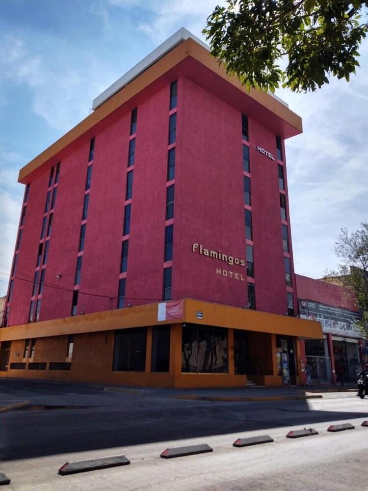 Hotel Flamingos Guadalajara Dış mekan fotoğraf