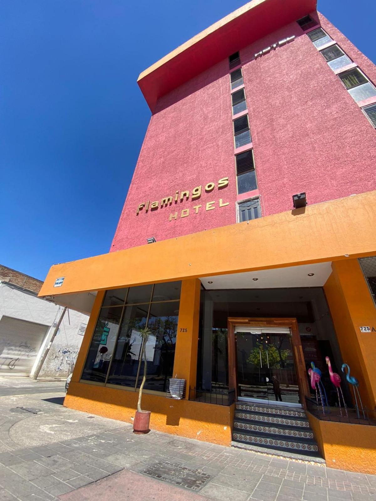 Hotel Flamingos Guadalajara Dış mekan fotoğraf
